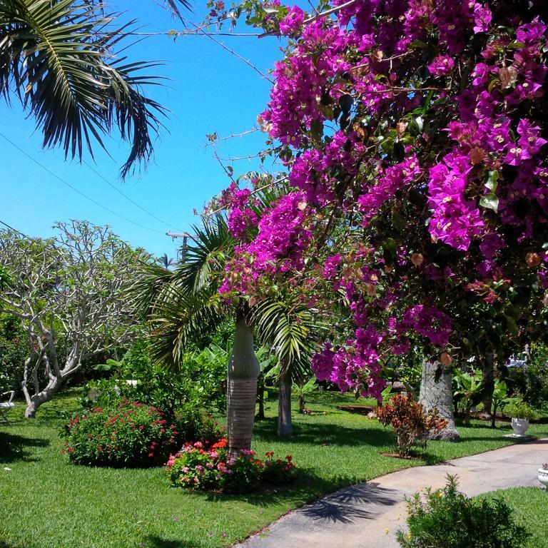 Royal Palms Hotel Hamilton City Luaran gambar